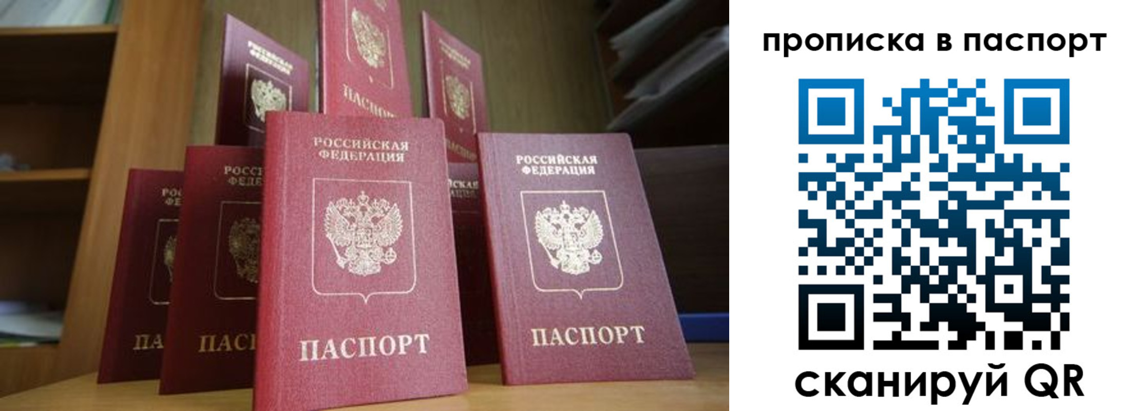 прописка законно в Борзе